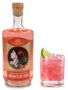 Hibiscus Gin and cocktail